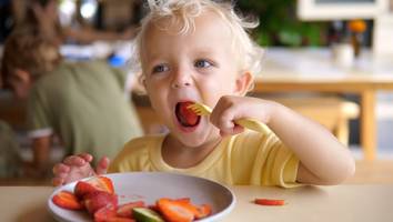 „Kinder sind keine kleinen Erwachsenen“  - Vegetarische Ernährung hat für Kinder Vorteile – doch Eltern müssen die Risiken kennen